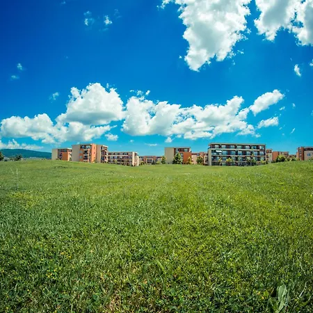 Orchid Garden * Slantschew brjag